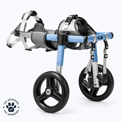 Belton Dog Wheelchair — Adjustable Rear-Leg Support Cart for Injured, Senior & Paralyzed Dogs (6-88 lbs)